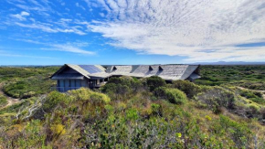 Driftwoods- Eco Beach Bush Retreat